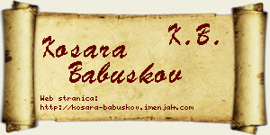 Kosara Babuškov vizit kartica